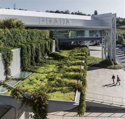 prada spa terranuova bracciolini arezzo|Il Gruppo Prada investe 60 milioni in nuovi stabilimenti produttivi.